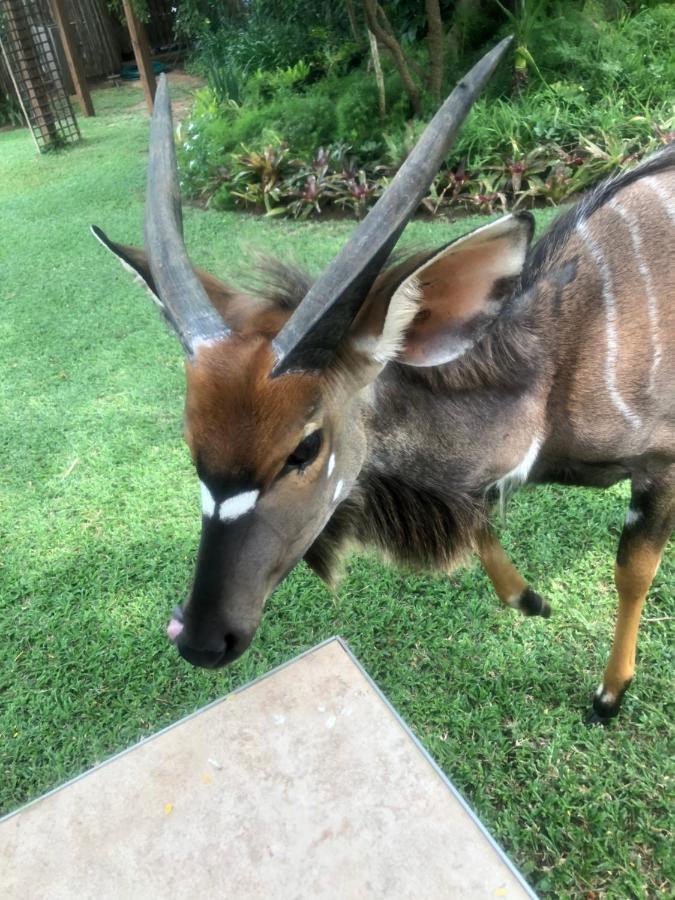 Hotel Jock Of The Bushveld Barberton Exterior foto