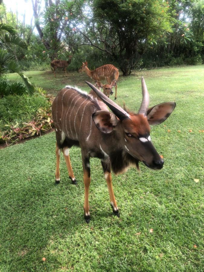 Hotel Jock Of The Bushveld Barberton Exterior foto