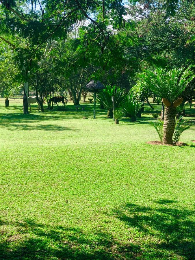 Hotel Jock Of The Bushveld Barberton Exterior foto